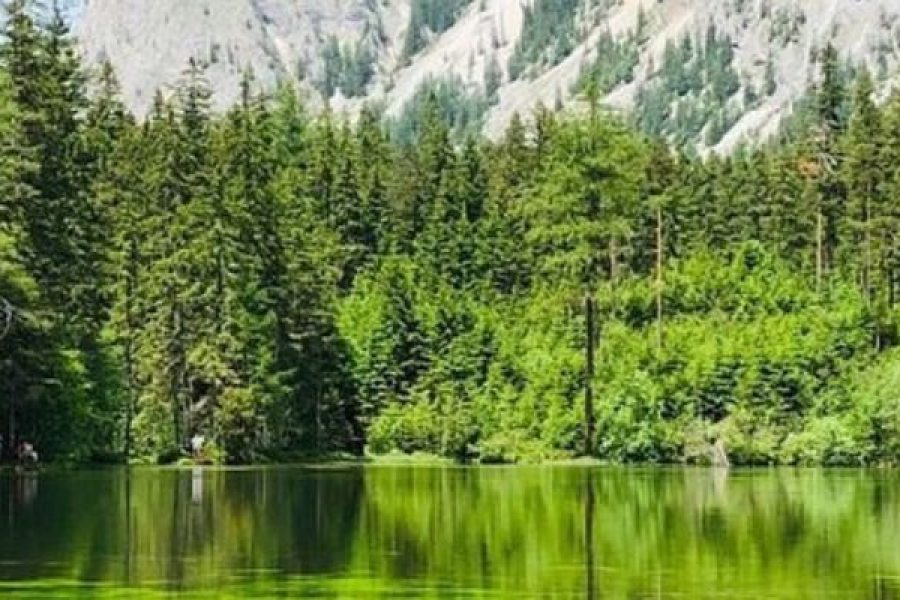 31.05.2026 Grüner See & Graz mit Reisleitung