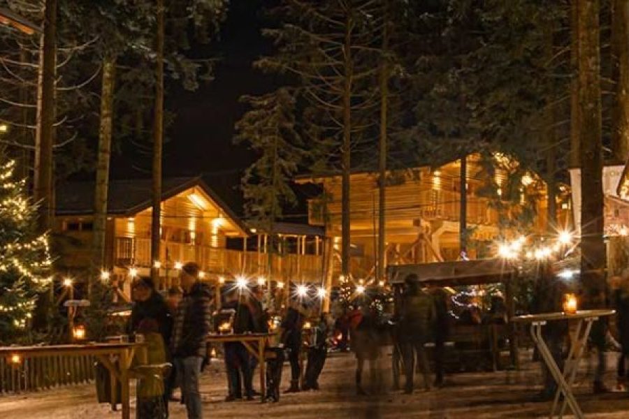 30.11.2025 Waldweihnacht am Baumkronenweg mit Reisleitung